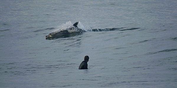 Billabong Pro J-Bay 2011