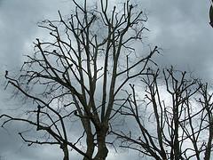 De la planificación del proyecto a las próximas acciones De la planificación del proyecto a las próximas acciones