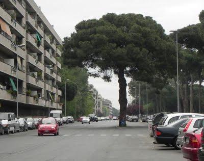 Árboles frente al asfalto