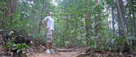 Sobrevivir al aburrimiento en Singapur: Bukit Timah