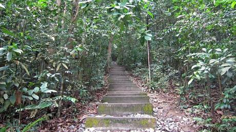 Sobrevivir al aburrimiento en Singapur: Bukit Timah