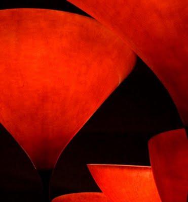 Un campo de amapolas gigantes