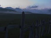 Poniendo puertas campo