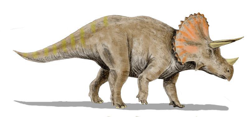 Descubierto el último dinosaurio antes de la extinción masiva