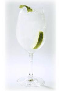 Gin tonic con Citadelle