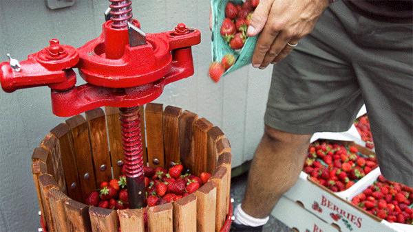 Elaborando cerveza con fresas y miel