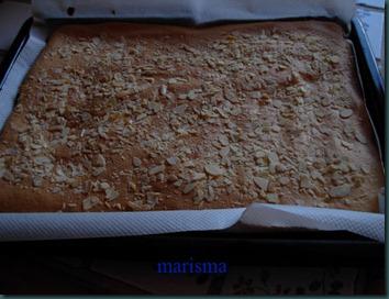 recetas mediados julio11 017