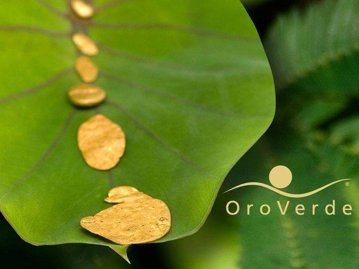 Oro Verde: Una inversión por la Paz y la Biodiversidad en Colombia