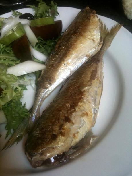 Sorells del Mam i teca