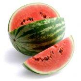 SAN-DIA DEL HOMO ERECTUS…