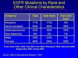 El 12% de los pacientes con cáncer de pulmón tienen mutaciones en el gen EGFR