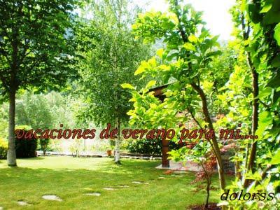 Vacaciones de verano para mí....