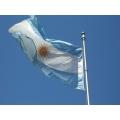Las empleadas domésticas argentinas y el nuevo Proyecto de Ley