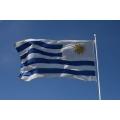 En Uruguay entran en vigor los nuevos aumentos salariales para el servicio doméstico