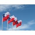 Chile todavía quedan avances conseguir sector doméstico