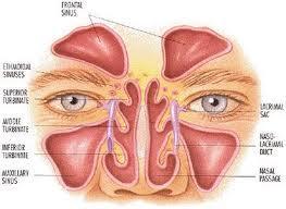 El lavado nasal: soluciona tus problemas respiratorios