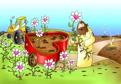 LA PARÁBOLA DEL TRIGO Y LA CIZAÑA