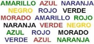 La Web nuestra nueva memoria