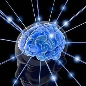 La Web nuestra nueva memoria