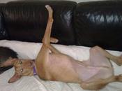 Cuper sigue siendo invisible