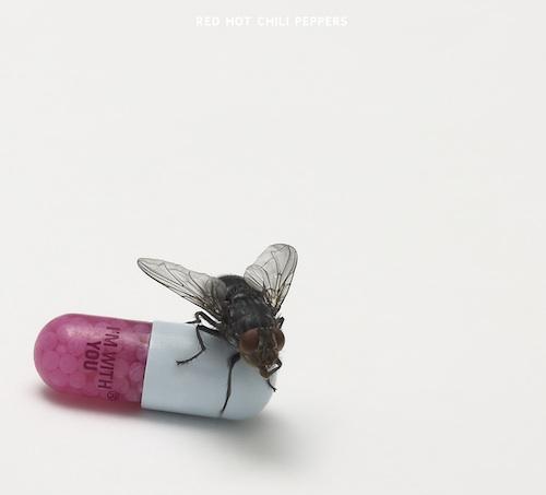 Critican la mosca de la portada de Red Hot Chili Peppers y Blink 182 vuelve por la puerta grande