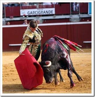 Juli Mont de Marsan Juli Mont de Marsan