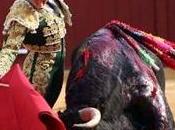 menos quedará…alguna plaza Francia. Mont Marsan