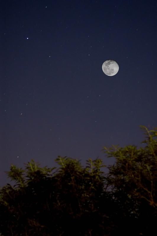 por que el cielo es negro