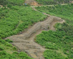 Reseña EL COLOR DE LA MALDAD