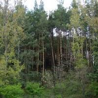 Reseña EL COLOR DE LA MALDAD