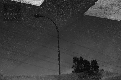 Reflejos. Serie gris.