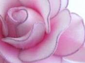 Rosas hechas medias rotas
