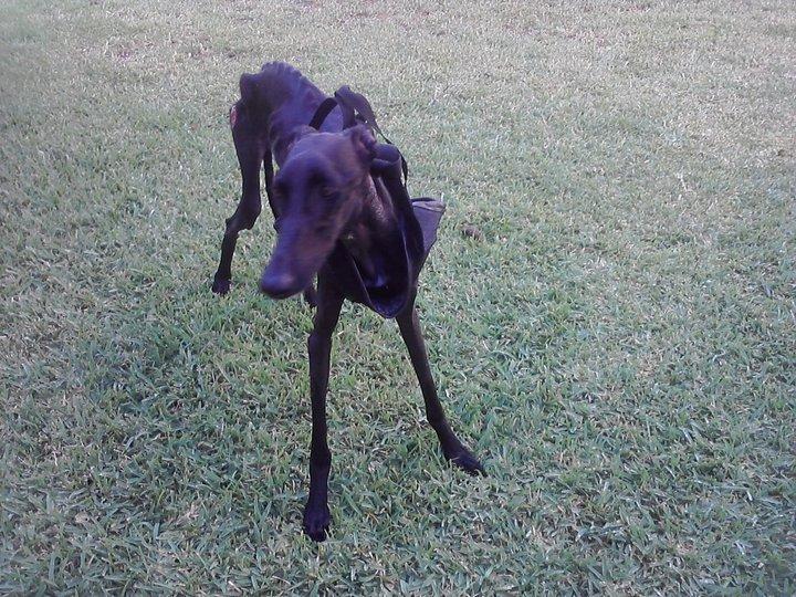 Esperanza... una auténtica campeona