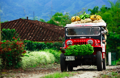 Paisaje cafetero de Colombia: descanso y aventura