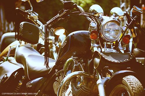 Reseña: Princesa, de Patricia