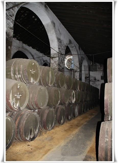 Sanlucar wineries & Look