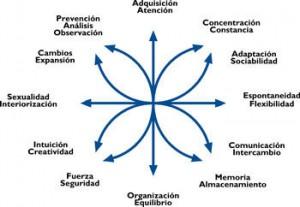 Perfiles psico-grafológicos más singulares del entorno laboral