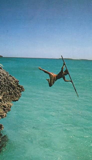 Emerger y Humanitario #Reflexiones #Tao