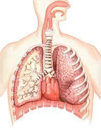 epocc Expertos advierten de la importancia de identificar al paciente de EPOC con riesgo de sufrir exacerbaciones
