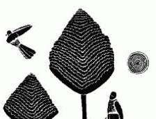 Arterapia, terapia transpersonal: Ramón Ballester