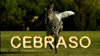 The end de los the ends (El cebraso)