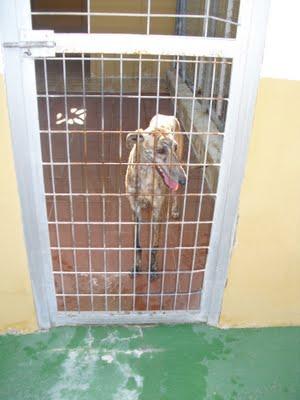 Por ella, por Leala, porqué merece vivir....