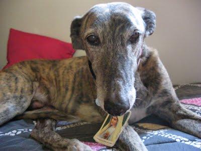 Por ella, por Leala, porqué merece vivir....