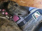 ella, Leala, porqué merece vivir....