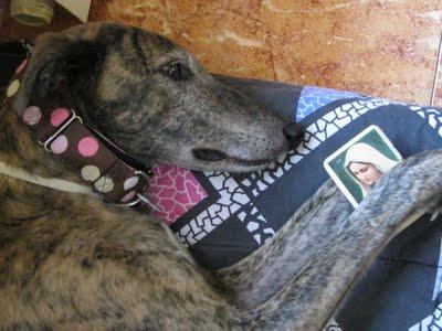 Por ella, por Leala, porqué merece vivir....