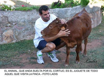 “FLAUTISTA”, UNA BECERRITA DE ALCURRUCEN CRIADA CON BIBERON