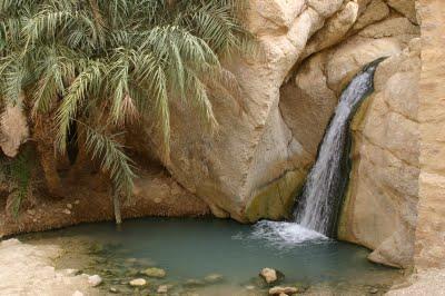 10 oasis más bellos del mundo