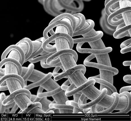 FEI Company – Imágenes realizadas con un microscopio electrónico de barrido (II)