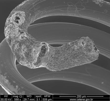 FEI Company – Imágenes realizadas con un microscopio electrónico de barrido (II)