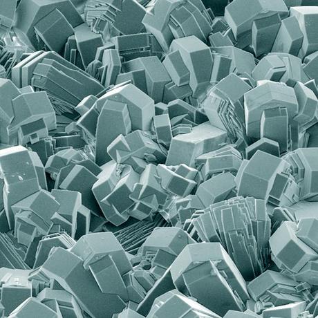 FEI Company – Imágenes realizadas con un microscopio electrónico de barrido (II)